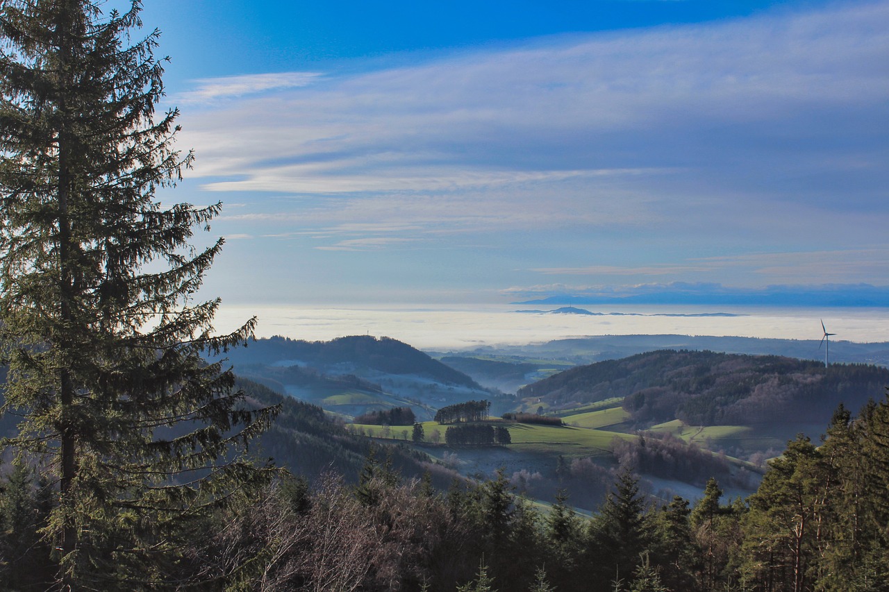 Black Forest Summer 2027 — Baden-Württemberg